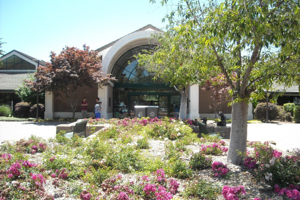 Library Entrance